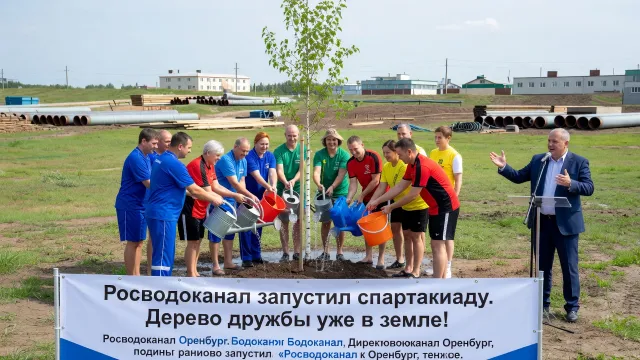 Росводоканал запустил спартакиаду. Дерево дружбы уже в земле!